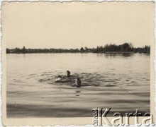 7.05.1942, Bukareszt, Rumunia.
Polscy uchodźcy w Rumunii podczas II wojny światowej. Kąpiel w jeziorze Floreasca: Tadeusz Gaydamowicz, Zoltan Gründl i Zbigniew Świtalski.
Fot. NN, zbiory Ośrodka KARTA, udostępnił Tadeusz Gaydamowicz.