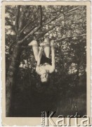 7.05.1942, Bukareszt, Rumunia.
Polscy uchodźcy w Rumunii podczas II wojny światowej. Nad jeziorem Floreasca: Zbigniew Świtalski na drzewie.
Fot. NN, zbiory Ośrodka KARTA, udostępnił Tadeusz Gaydamowicz.