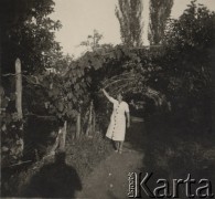 17.08.1942, Kiszyniów, Rumunia.
Kasia w alejce winogronowej.
Fot. NN, zbiory Ośrodka KARTA, udostępnił Tadeusz Gaydamowicz.