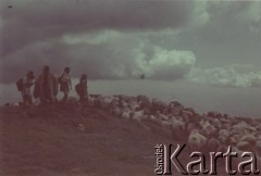 Lipiec 1942, Ezerul Mare, Rumunia.
Polscy uchodźcy w Rumunii podczas II wojny światowej - od lewej Ada Donotkówna, Tadeusz Gaydamowicz,  Danuta Strzeszewska i Nina Łozińska ze stadem owiec na górskiej hali.
Fot. NN, zbiory Ośrodka KARTA, udostępnił Tadeusz Gaydamowicz.