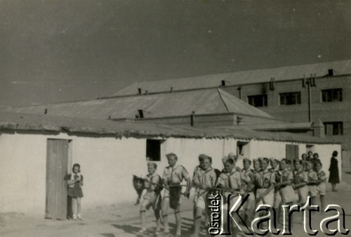 Wrzesień 1943, Teheran, Iran.
Drużyna zuchów z obozu dla Polaków ewakuowanych z ZSRR (nr 1). [Polscy uchodźcy trafili do Iranu w 1942 wraz z nowoutworzonym Wojskiem Polskim pod dowództwem generała Władysława Andersa (w dwóch rzutach ewakuacyjnych z ZSRR w marcu i sierpniu). W sumie oprócz wojska dotarło tam 38 tysięcy Polaków, z czego ponad połowę stanowiły dzieci i młodzież. W Teheranie powstały trzy obozy dla ludności cywilnej i sierociniec; stąd kierowano Polaków do stałych osiedli w różnych rejonach świata (np. w Nowej Zelandii, Ugandzie, Meksyku)].
Fot. NN, zbiory Ośrodka KARTA, kolekcja Adeli Duszy przekazała Halina Guść