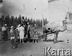 1942, okolice Smirnowa, obł. Pietropawłowska, Kazachstan, ZSRR.
Grupa osób (m.in. Polacy) deportowanych do ziernosowchozu im. 