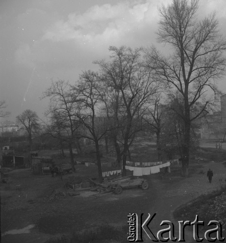 Lata 50., Warszawa, Polska.
Park Kazimierzowski.
Fot. Irena Jarosińska, zbiory Ośrodka KARTA