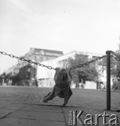 Lata 50., Warszawa, Polska.
Dziewczynka huśta się na łańcuchu.
Fot. Irena Jarosińska, zbiory Ośrodka KARTA