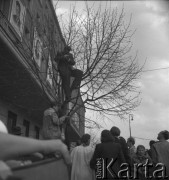 Lata 50., Warszawa, Polska.
Pochód pierwszomajowy w Alejach Jerozolimskich. Mężczyzna fotografuje stojąc na drzewie.
Fot. Irena Jarosińska, zbiory Ośrodka KARTA