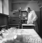 Lata 60., Warszawa, Polska.
Janusz Groszkowski, profesor elektroniki i radiotechniki Politechniki Warszawskiej i Polskiej Akademii Nauki w swojej pracowni.
Fot. Irena Jarosińska, zbiory Ośrodka KARTA
