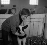 1959, Otwock Wielki, Polska.
Obora.
Fot. Irena Jarosińska, zbiory Ośrodka KARTA

