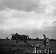 1959, Otwock Wielki, Polska.
Pole.
Fot. Irena Jarosińska, zbiory Ośrodka KARTA