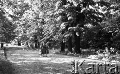 1959, Otwock Wielki, Polska.
Dziewczęta z zakładu poprawczego na wyspie Rokola.
Fot. Irena Jarosińska, zbiory Ośrodka KARTA