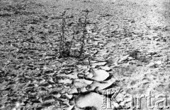 Lata 80., Polska.
Piasek.
Fot. Irena Jarosińska, zbiory Ośrodka KARTA