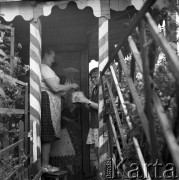 Lata 60. lub 70., Kraków, Polska.
Ogródki działkowe.
Fot. Irena Jarosińska, zbiory Ośrodka KARTA