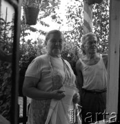 Lata 60. lub 70., Kraków, Polska.
Ogródki działkowe.
Fot. Irena Jarosińska, zbiory Ośrodka KARTA