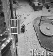 lata 50-te, Warszawa, Polska
Widok z okna mieszkania-pracowni Ireny Jarosińskiej przy ulicy Świerczewskiego 61 (obecnie Aleja Solidarności). 
Fot. Irena Jarosińska, zbiory Ośrodka KARTA