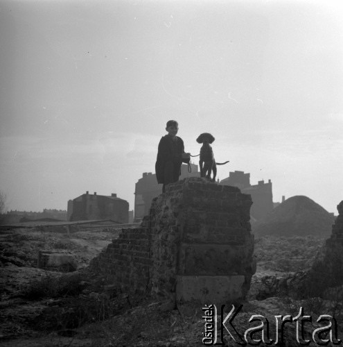 1954-1955, Warszawa, Polska
Marek Jarosiński (syn Ireny Jarosińskiej) z psem. W głębi ruiny kamienic w okolicach ulicy Grzybowskiej.
Fot. Irena Jarosińska, zbiory Ośrodka KARTA