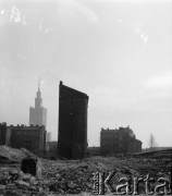 1954-1955, Warszawa, Polska
Ruiny kamienic przy ulicy Grzybowskiej, w głębi fragment synagogi Nożyków oraz Pałac Kultury i Nauki
Fot. Irena Jarosińska, zbiory Ośrodka KARTA