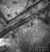 1954-1955, Warszawa, Polska
Widok z okna pracowni Ireny Jarosińskiej w Alei Świerczewskiego 95/99. 
Fot. Irena Jarosińska, zbiory Ośrodka KARTA