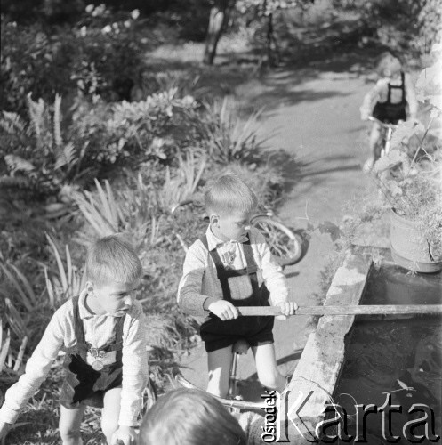 1962, Wrocław, Polska.
Trzech z czworga braci Majewskich w ogrodzie.
Fot. Irena Jarosińska, zbiory Ośrodka KARTA.

