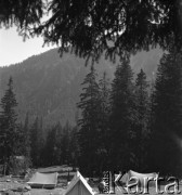 lata 60-te, Włosienica, Tatry, Polska.
Obóz taterników.
Fot. Irena Jarosinska, zbiory Ośrodka KARTA.