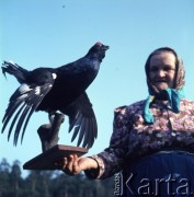 lata 70., Polska.
Kobieta prezentująca wypchanego ptaka.
Fot. Irena Jarosińska, zbiory Ośrodka KARTA