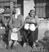 lata 50-te, Warszawa, Polska.
Bazar Różyckiego
Fot. Irena Jarosińska, zbiory Ośrodka KARTA.