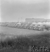 1950-1960, Nowa Huta, Kraków, Polska.
Szpaler samochodów ciężarowych. Z tyłu widoczne namioty wojskowe. Prawdopodobnie zaplecze budowy Nowej Huty.
Fot. Irena Jarosińska, zbiory Ośrodka KARTA. 



