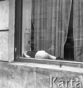 Lata 50., Warszawa, Polska.
Bar mleczny 