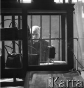Lata 50., Warszawa, Polska.
Wystawa sklepu w podwórku w Alejach Jerozolimskich.
Fot. Irena Jarosińska, zbiory Ośrodka KARTA