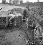 Lata 50., Polska.
Wieś.
Fot. Irena Jarosińska, zbiory Ośrodka KARTA