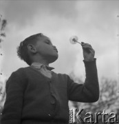 Lata 50., Kazimierz Dolny, Polska.
Marek Jarosiński - syn fotografki Ireny Jarosińskiej.
Fot. Irena Jarosińska, zbiory Ośrodka KARTA