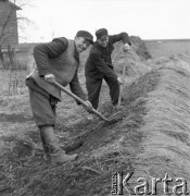 Lata 50., Polska.
Wieś.
Fot. Irena Jarosińska, zbiory Ośrodka KARTA