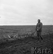 Lata 50., Polska.
Pole.
Fot. Irena Jarosińska, zbiory Ośrodka KARTA