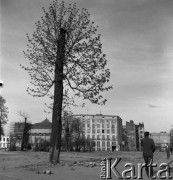 Lata 50., Warszawa, Polska.
Ulica Piękna. W tle siedziba Sejmu (po lewej) na ulicy Wiejskiej oraz Hotel Sejmowy (w centrum).
Fot. Irena Jarosińska, zbiory Ośrodka KARTA