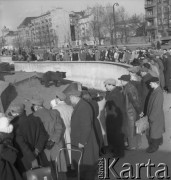 Lata 50., Warszawa, Polska.
Niedźwiedzie na wybiegu w Alei gen. Karola Świerczewskiego (dziś Aleja Solidarności).
Fot. Irena Jarosińska, zbiory Ośrodka KARTA