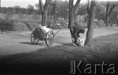 Lata 50., województwo olsztyńskie, Polska.
Wieś.
Fot. Irena Jarosińska, zbiory Ośrodka KARTA