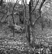 Lata 50., Warszawa, Polska.
Centralny Park Kultury na Powiślu.
Fot. Irena Jarosińska, zbiory Ośrodka KARTA