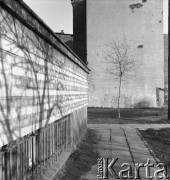 Lata 50., Warszawa, Polska.
Budynki.
Fot. Irena Jarosińska, zbiory Ośrodka KARTA