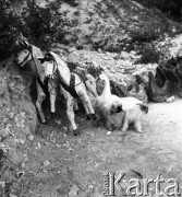 1958, Kazimierz Dolny, Polska.
Plan zdjęciowy filmu 