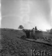 1958, Polska.
Koczowisko cygańskie.
Fot. Irena Jarosińska, zbiory Ośrodka KARTA