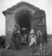 lata 50-te, okolice Krotoszyna, Polska
Wypiekanie chleba w tradycyjnym piecu.
Fot. Irena Jarosińska, zbiory Ośrodka KARTA