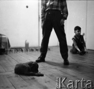 Lata 60., Warszawa, Polska.
Aktor Ludwik Halicz (stoi). W tle Andrzej Pieniążek - syn Stanisława Pieniążka.
Fot. Irena Jarosińska, zbiory Ośrodka KARTA