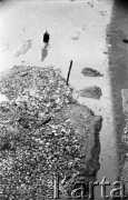 Lata 50. lub 60., Polska.
Ulica pod wodą.
Fot. Stanisław Pieniążek, zbiory Ośrodka KARTA