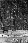 Lata 50. lub 60., Warszawa, Polska.
Park.
Fot. Stanisław Pieniążek, zbiory Ośrodka KARTA