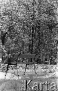 Lata 50. lub 60., Warszawa, Polska.
Park.
Fot. Stanisław Pieniążek, zbiory Ośrodka KARTA