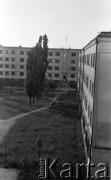 Lata 50. lub 60., Warszawa, Polska.
Podwórze na tyłach posesji w rejonie ulicy Juliana Marchlewskiego (dziś Aleja Jana Pawła II), ulicy Karmelickiej i ulicy Nowolipie - ujęcie z bloku na ulicy Juliana Marchlewskiego 78 w kierunku północnym. Na wprost blok przy ulicy Nowolipie 9/11, po prawej blok na ulicy Juliana Marchlewskiego 78a.
Fot. Stanisław Pieniążek, zbiory Ośrodka KARTA