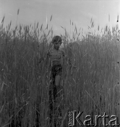 Lata 50., Urle, Polska.
Marek Jarosiński - syn fotografki Ireny Jarosińskiej.
Fot. Irena Jarosińska, zbiory Ośrodka KARTA