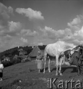 Lata 50. lub 60., Kazimierz Dolny, Polska.
Gospodarstwo.
Fot. Irena Jarosińska, zbiory Ośrodka KARTA