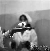 1977, Piaseczno, Polska.
Technikum Hodowlano-Drobiarskie.
Fot. Irena Jarosińska, zbiory Ośrodka KARTA