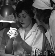 1977, Piaseczno, Polska.
Technikum Hodowlano-Drobiarskie.
Fot. Irena Jarosińska, zbiory Ośrodka KARTA