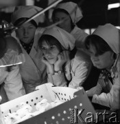 1977, Piaseczno, Polska.
Technikum Hodowlano-Drobiarskie.
Fot. Irena Jarosińska, zbiory Ośrodka KARTA