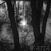 8.11.1976, Bełchatów, Polska.
Okolice kopalni Węgla Brunatnego Bełchatów
Fot. Irena Jarosińska, zbiory Ośrodka KARTA